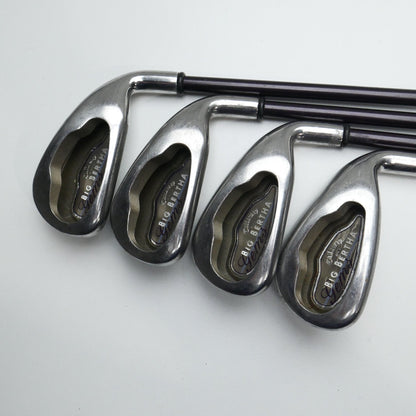 Used Callaway Big Bertha 2004 Iron Set / 5 - PW + W / Ladies Flex